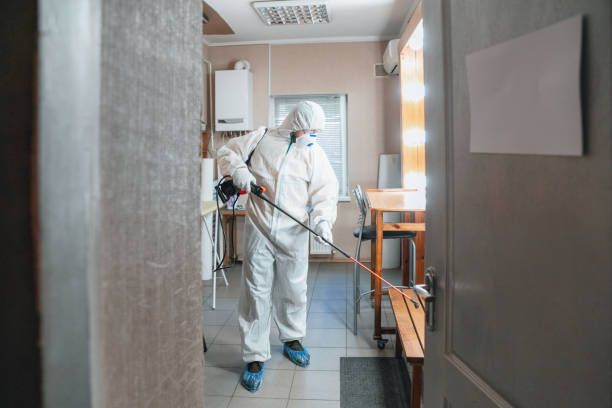 Best Water Damage & Mold Remediation  in Dunes City, OR