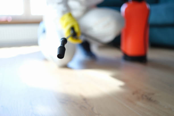 Best Comprehensive Air Testing for Mold Contaminants  in Dunes City, OR