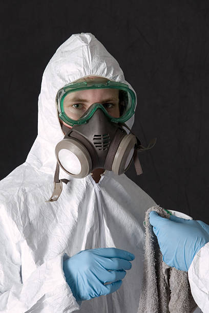 Best Mold Damage Restoration  in Dunes City, OR